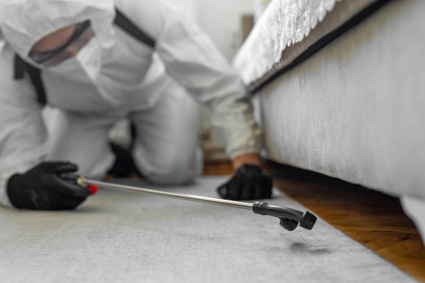 Professional Pest Control technician working in Annandale, MN