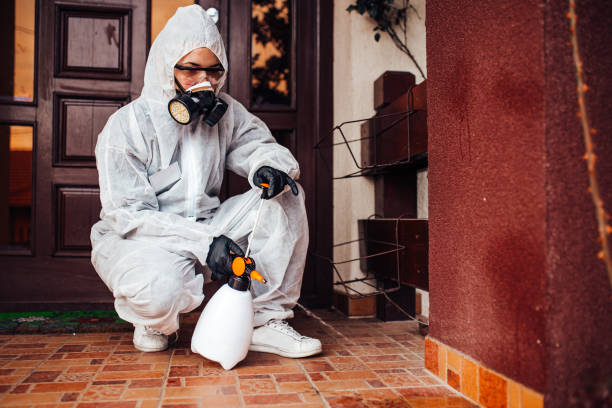 Reliable Bed Bug Control contractor in Annandale, MN by Nex Pest Control