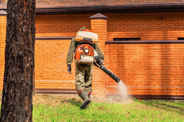 Trusted Bed Bug Control service in Annandale, MN - Nex Pest Control